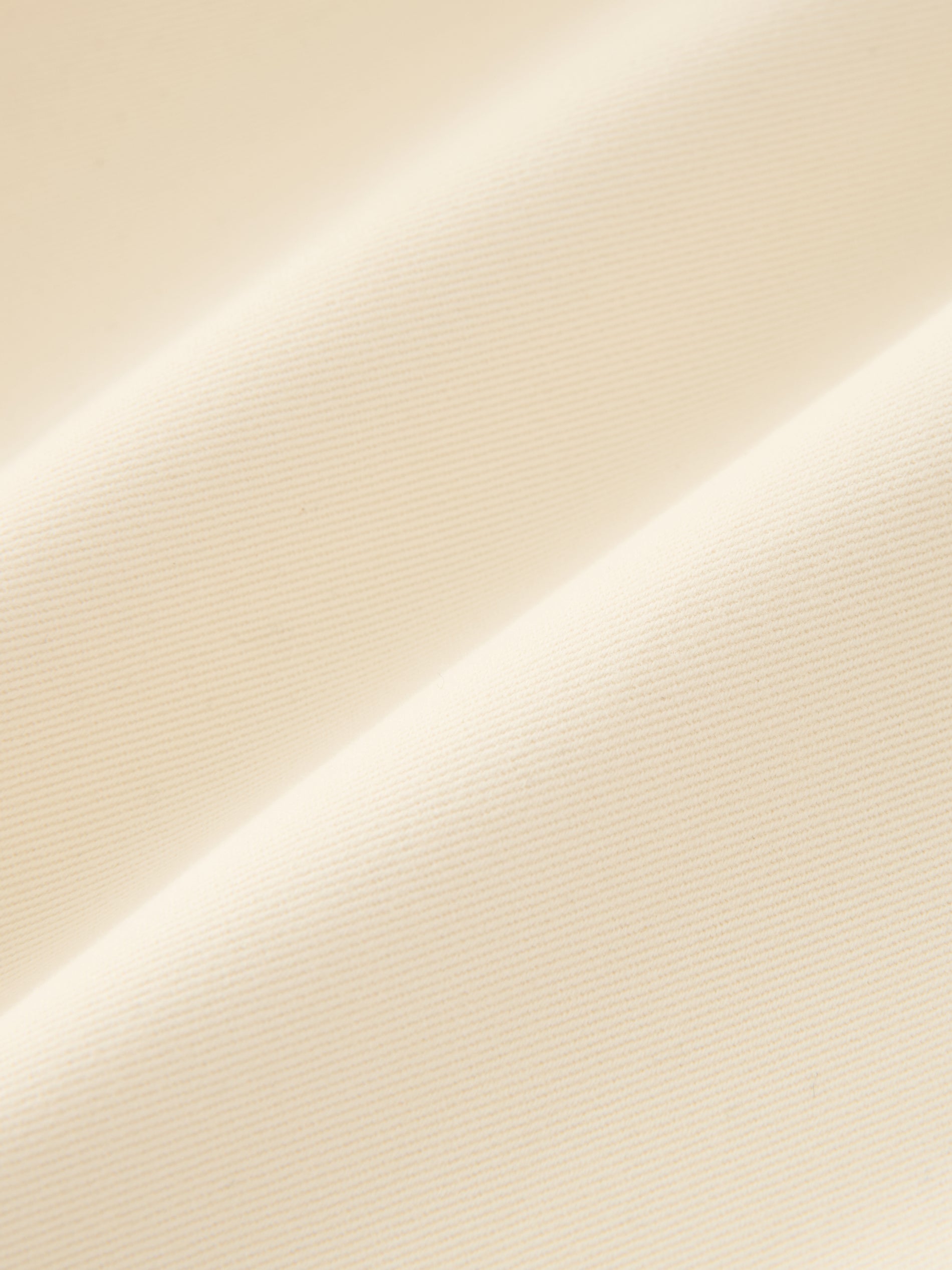 Dordoni Pleated Pant in Cream