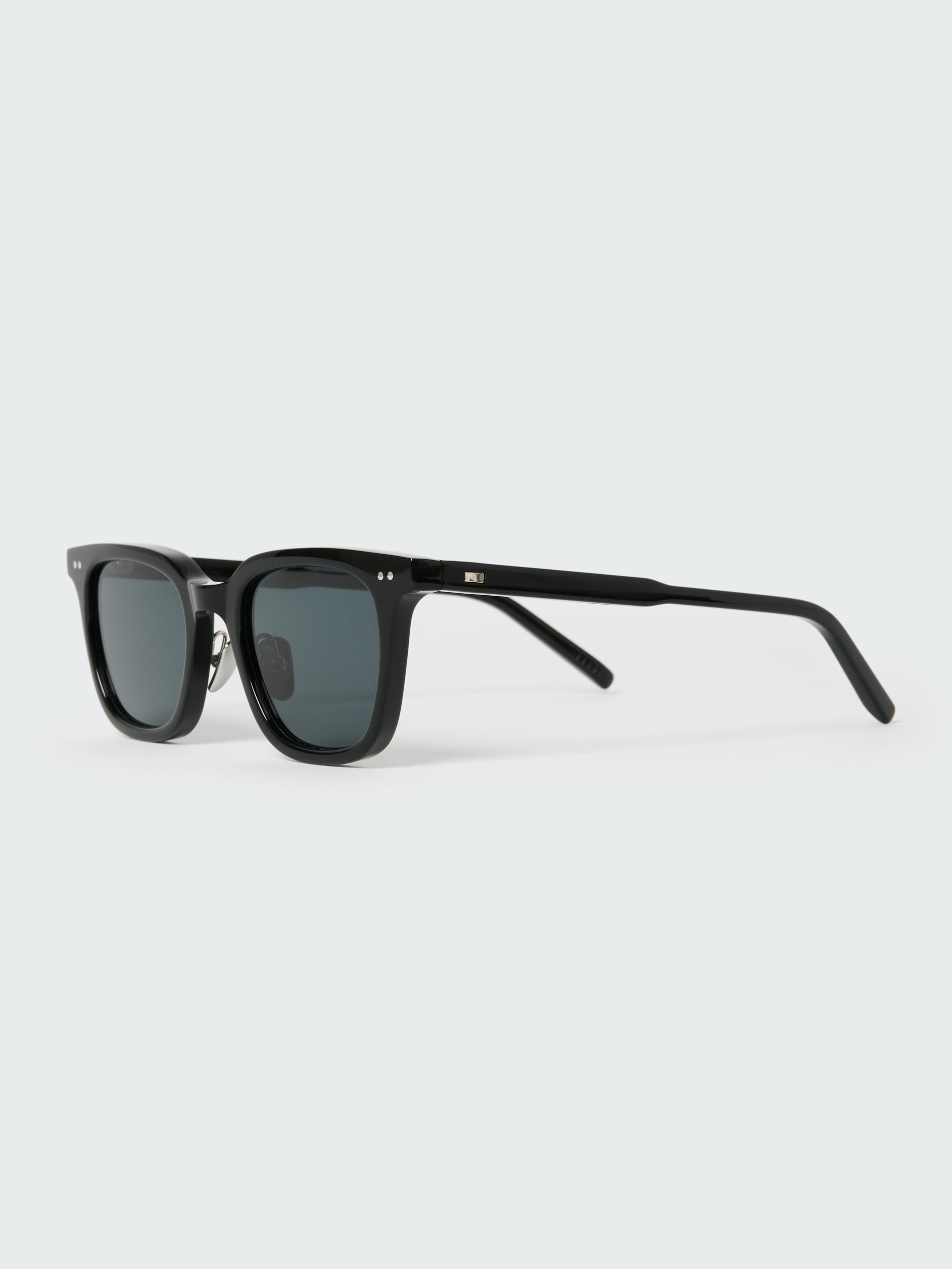 Type 1 Sunglasses in Black