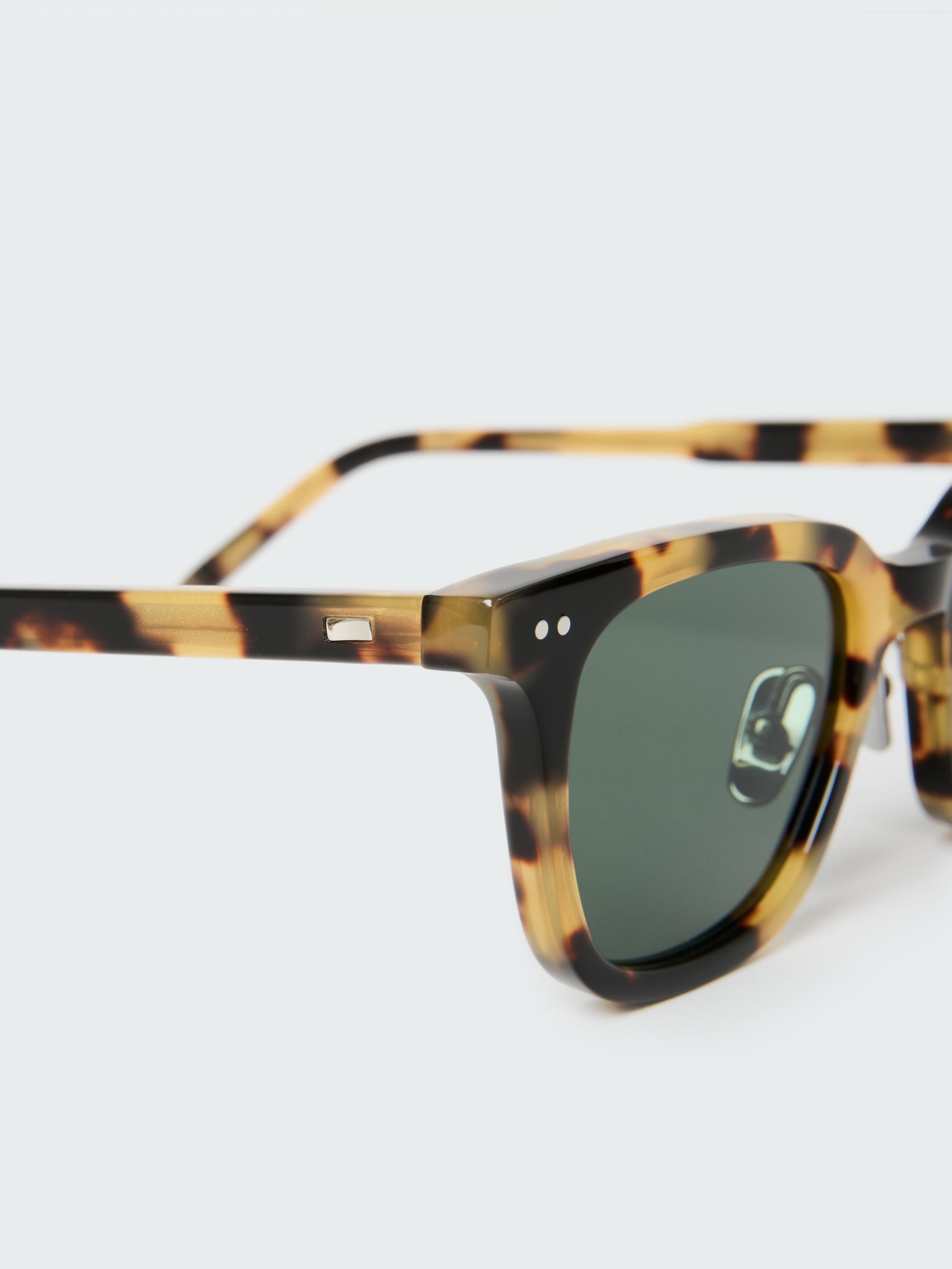 Type 1 Sunglasses in Tortoise Shell