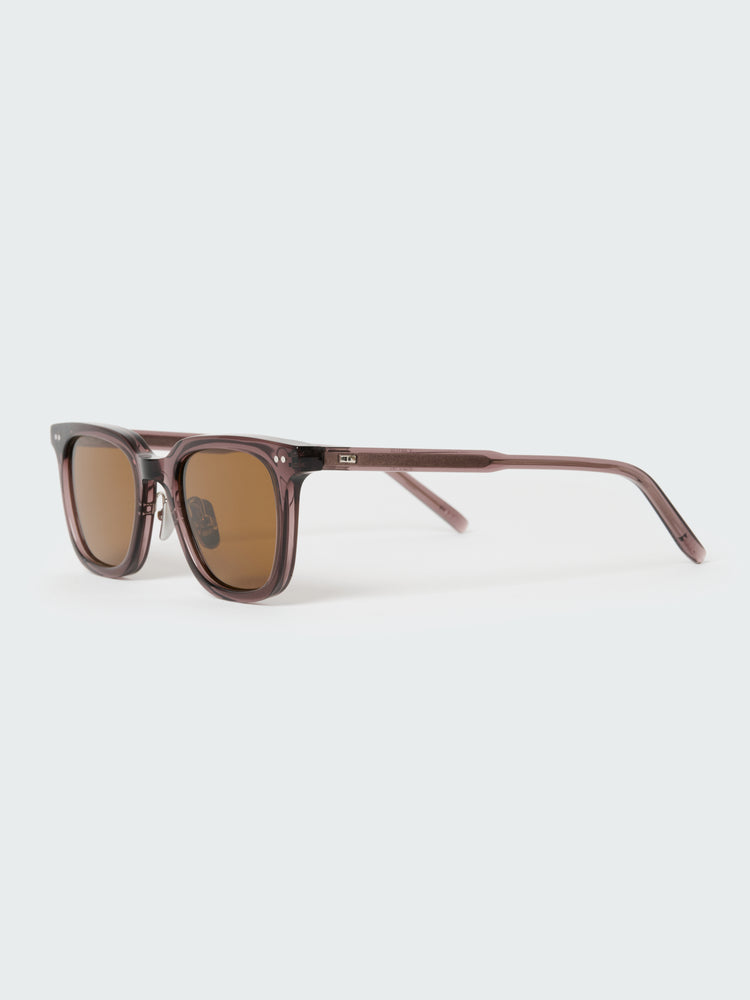 Type 1 Sunglasses in Brown